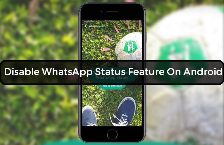 How to Use WhatsApp Status Feature on iPhone