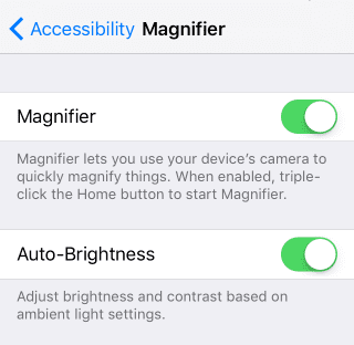 Magnifier and Auto-Brightness