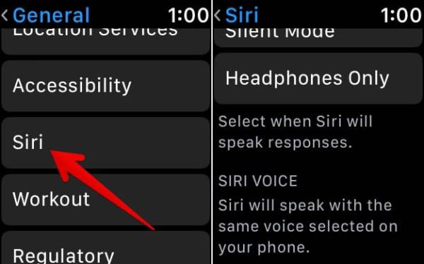 Tap on Siri then Siri Voice on Apple Watch 3
