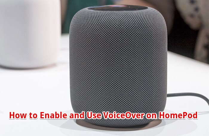 How to Enable and Use VoiceOver on HomePod