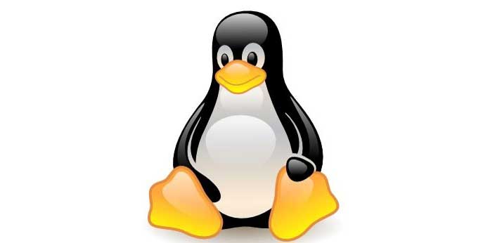 Linux Penguine