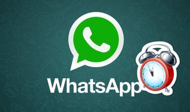 programmed and automatic WhatsApp message