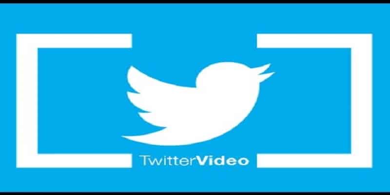 TwitterVideo2real