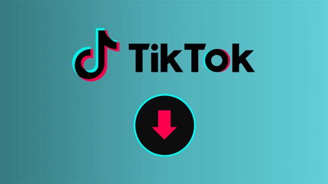 download TikTok videos