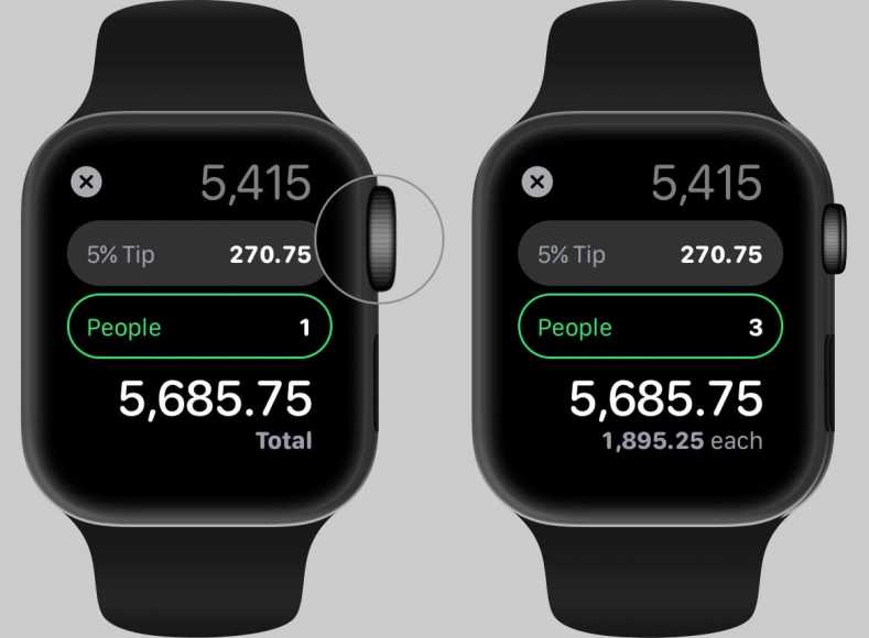 Adjust People for TIP in Calculator App on Apple Watch