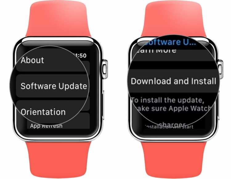 Tap on Software Update and then Download and Install on Apple Watch