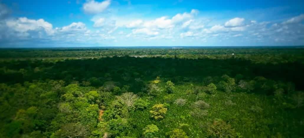 DJI drones are used to keep an eye on the health of the Amazon rainforest