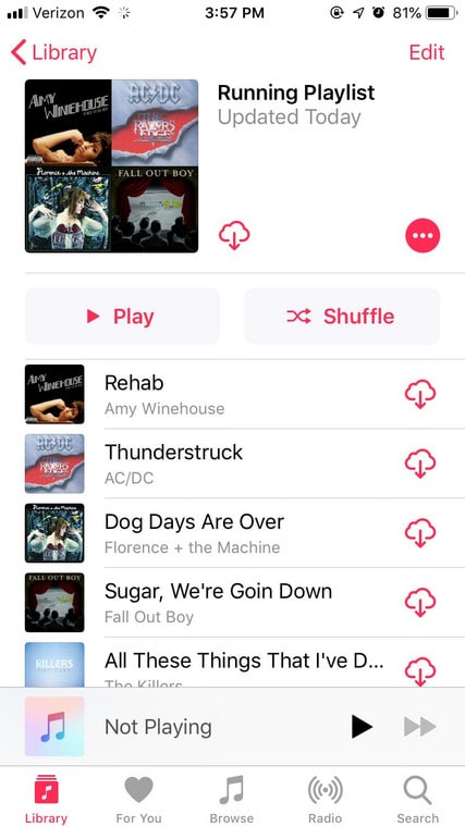 Make A Playlist On Apple Music