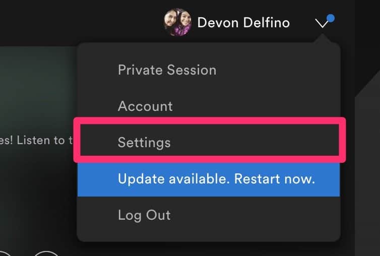 Adjust Privacy Settings On Spotify