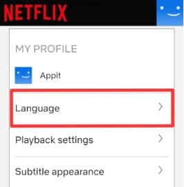 Change The Language On Netflix