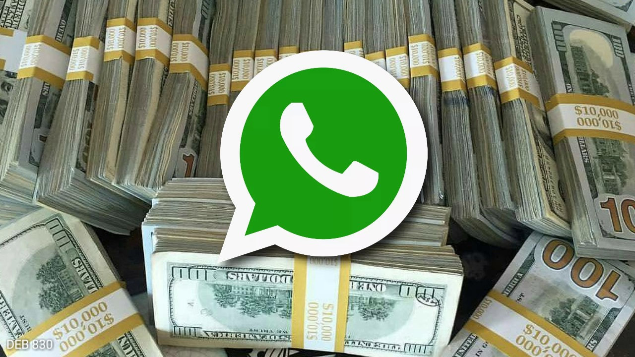 Make Money On WhatsApp TV