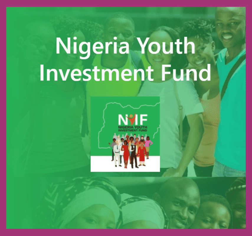 Apply Nigeria Youth Investment Fund