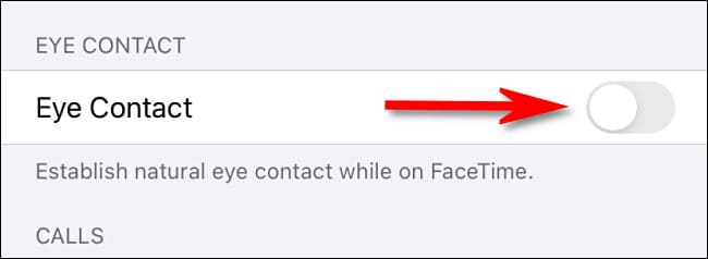 Fake Eye Contact FaceTime iPhone