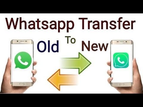 Whatsapp Chats Transfer