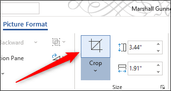 Crop Icon In Words Ribbon