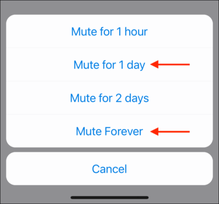 Select Mute Time Frame