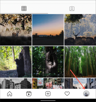 Profile Tab Instagram App