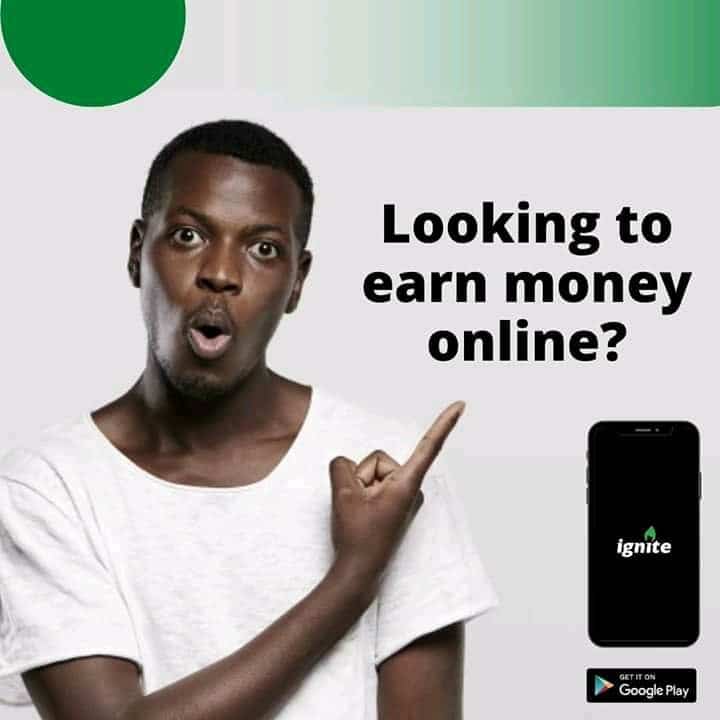 Make Money Nigeria Ignite Survey
