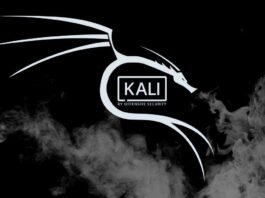 Install Kali Linux Windows 10 WSL 2