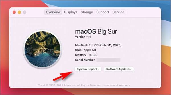 Mac Click System Report