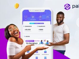 Earn Money Palmpay Nigeria