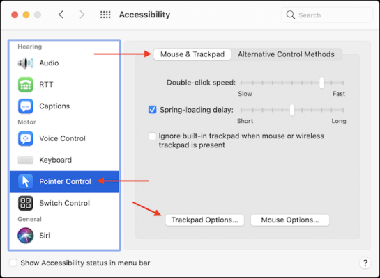 Go To Trackpad Options In Accessibility