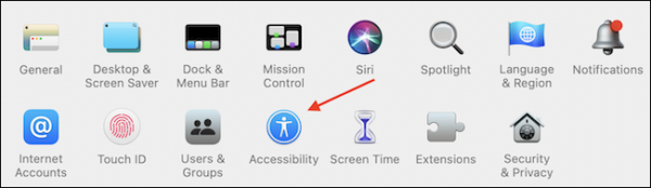 Open Accessibility From System Preferences