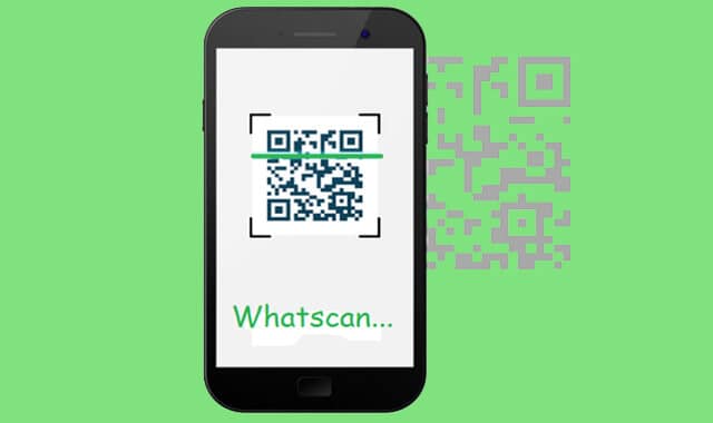 Whatscan Details Guide