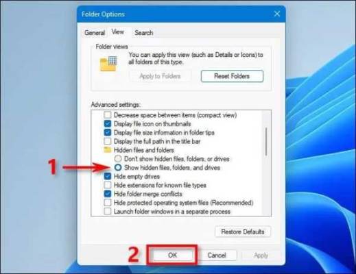 Windows 11 Folder Options 002
