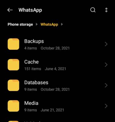 Whatsapp Folder