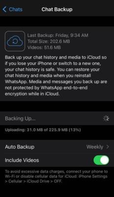 Ios Whatsapp Backup