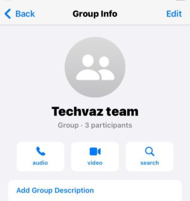 Group Info Ios Whatsapp