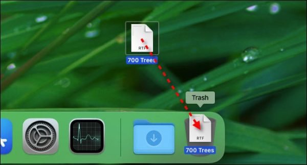 drag the file icon to the trash icon