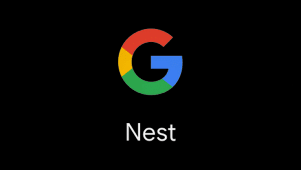 Google And Nest
