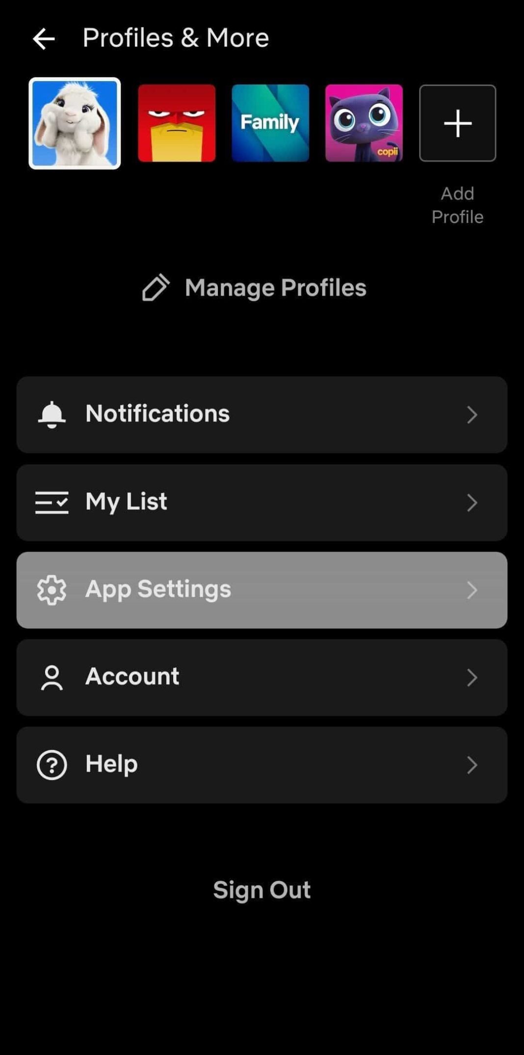netflix app settings
